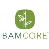 BamCore Png Logo