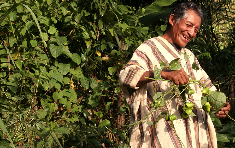 Where The Wild Things Grow