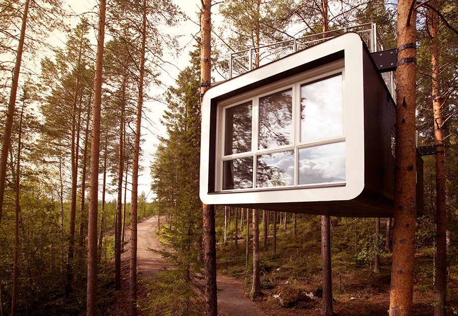 Branching Out: The World’s Coolest Tree Houses