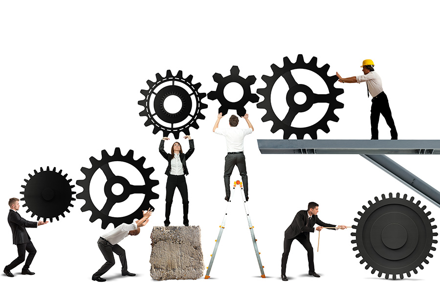 Leaders: Are Your Vines Happy?