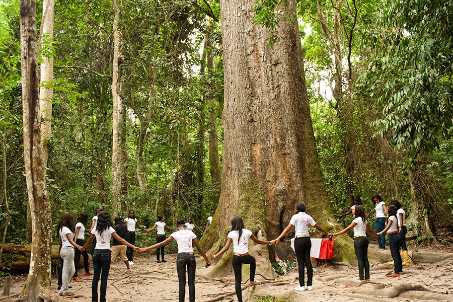 Do We Accept Circumstances Or Fight Them?