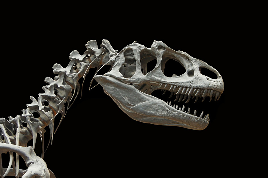 Are You Becoming Obsolete?