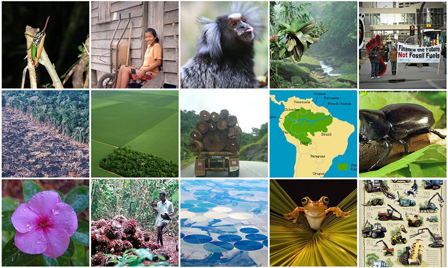 Inside Brazil’s Battle to Save the Amazon with Satellites and Strike Forces