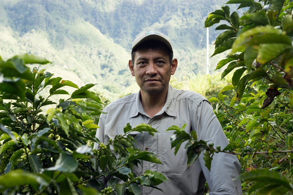 Starbucks and USAID Empower Colombian Coffee Farmers