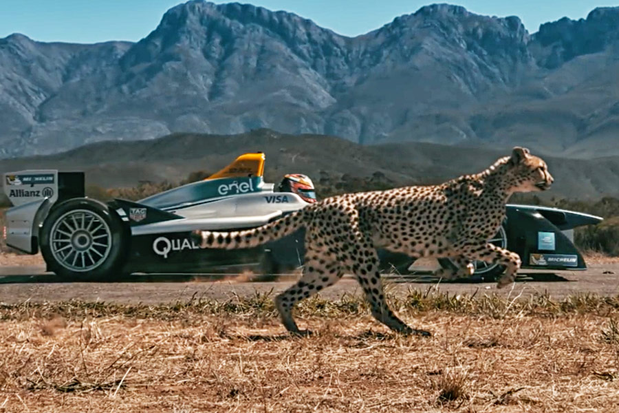 Watch: Formula E Car vs. Cheetah. Which is Quicker?