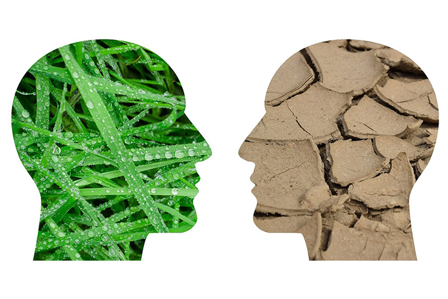 Think While You Drink: The Beer That Fights Climate Change