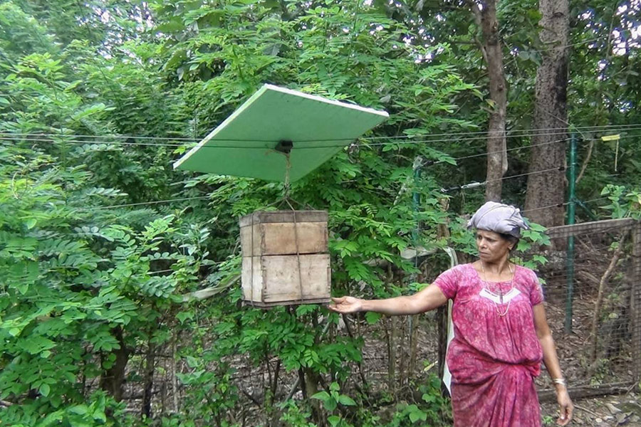 Beehive Fence Makes Marauding Elephants Buzz Off