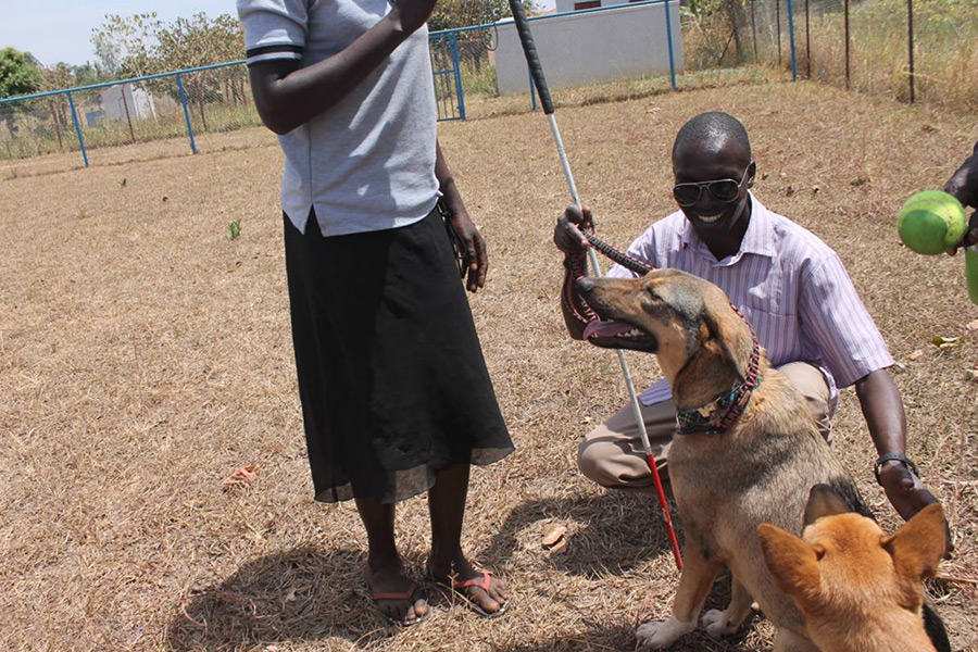 Therapy Dogs Heal Traumatized Survivors of Brutal Ugandan War