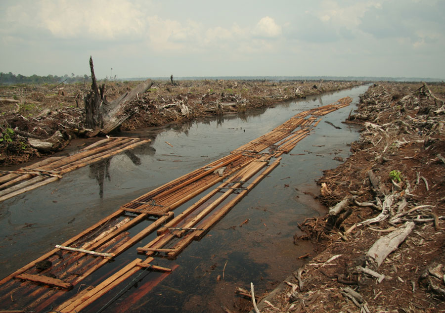 A Grassroots Activist Swims Against the Tide