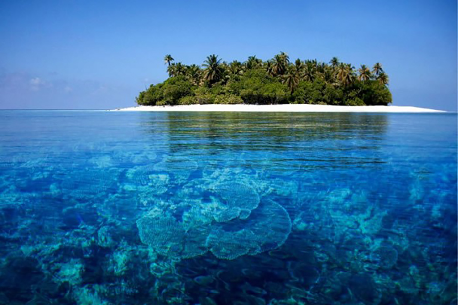 World’s Largest 3-D Printed Reef Installed in Maldives