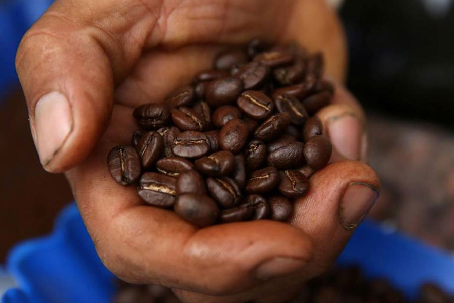 Landmark Project Helps Peru Coffee Farmers Combat Climate Change
