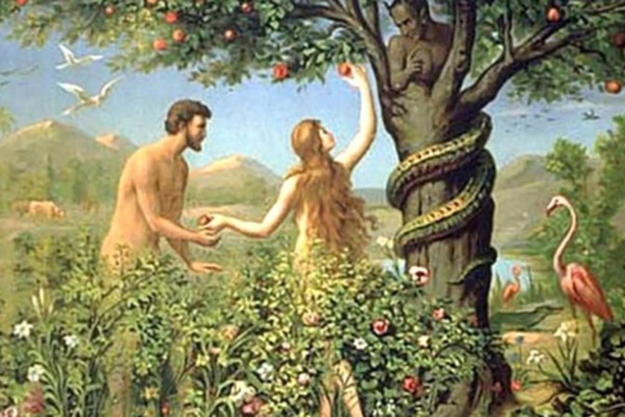 Why we Threw Eve Under the Bus