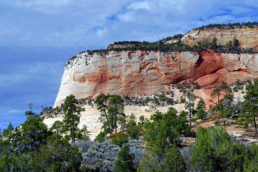 My Summer Journey of Change