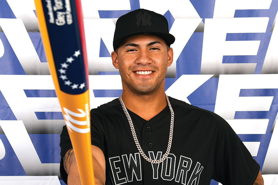 15 Habits of a Champion: Nobody Becomes a  Champion by Accident