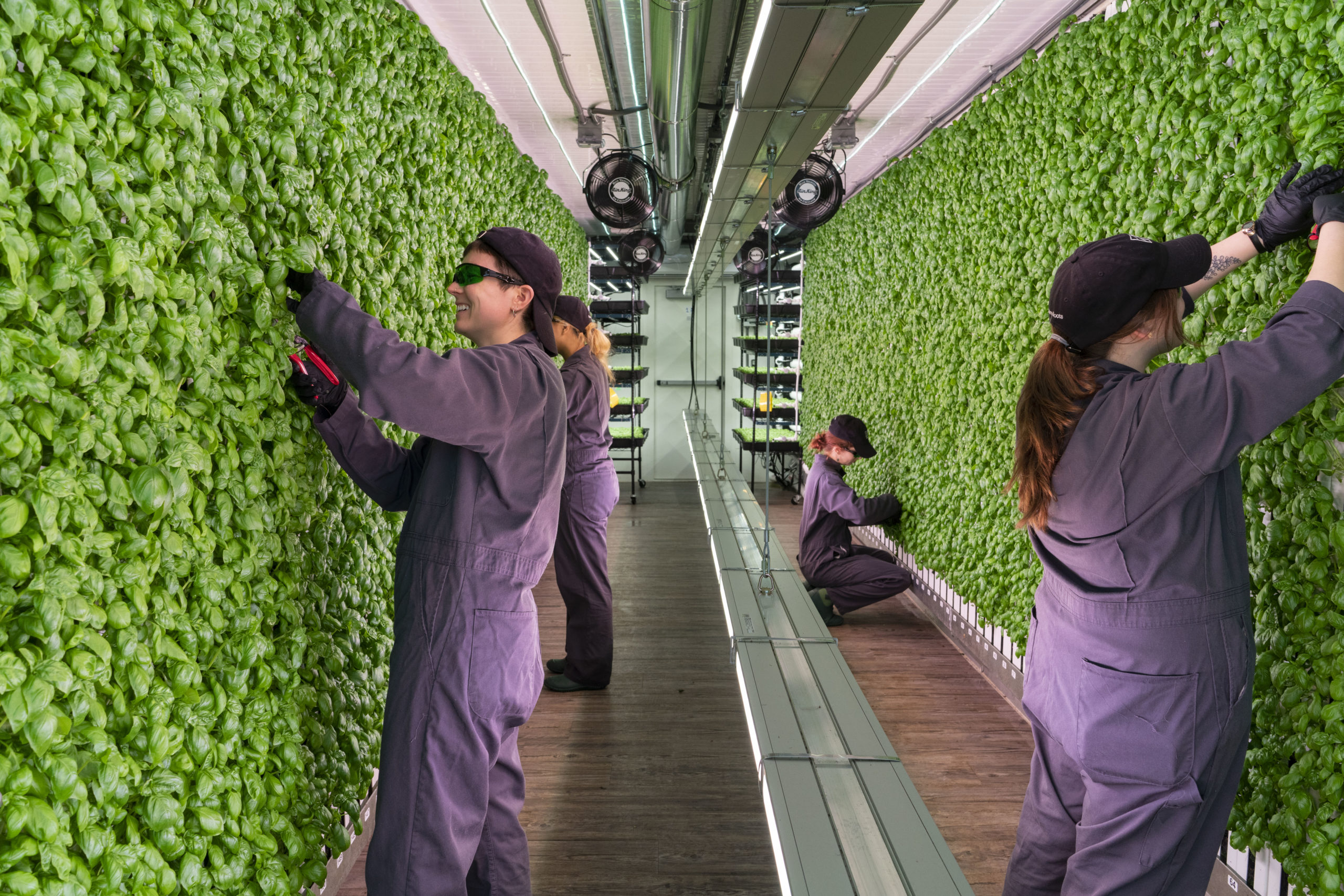 Why Didn’t I Think of That First? 3 Great Business Ideas Promising a Brighter Future