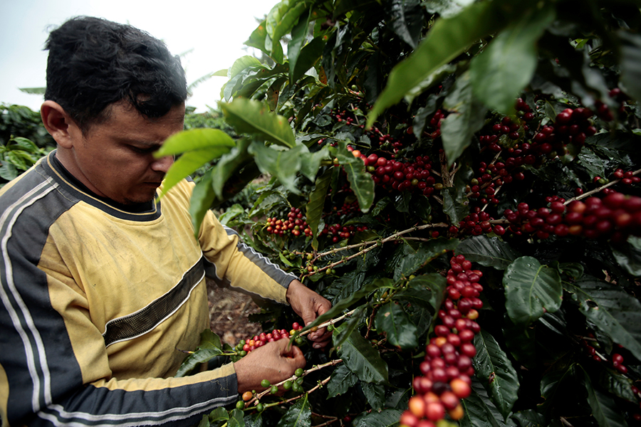 With Big Business Touting Ethics, How do Small Social Brands Survive?