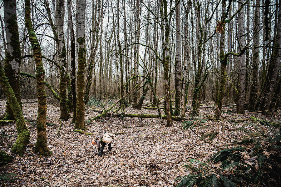 Why Now Is The Time To Develop A Sustainability Program For Your Company