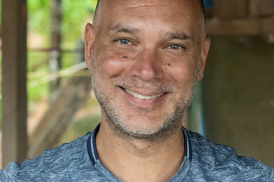 Why Planting More Trees is a Good Idea