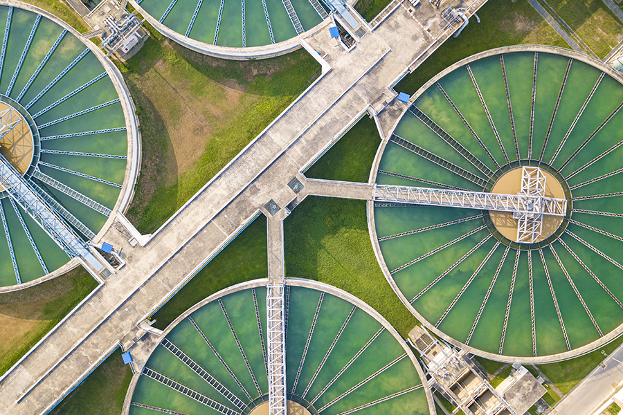 Beyond Sustainability: The Regenerative Business