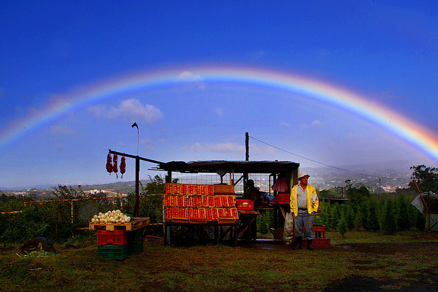 Costa Rica Eyes Billions of Dollars In Savings With Net-Zero Emissions