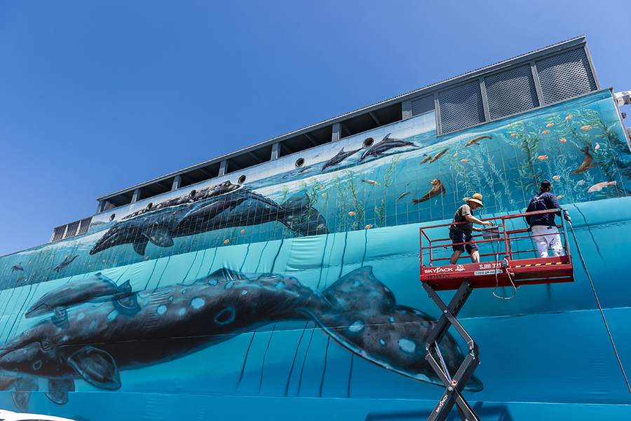 The Artist Who Challenges City Mayors to be Water-wise