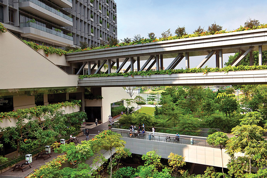 Imagine Working with Nature Instead of Trying to Dominate It