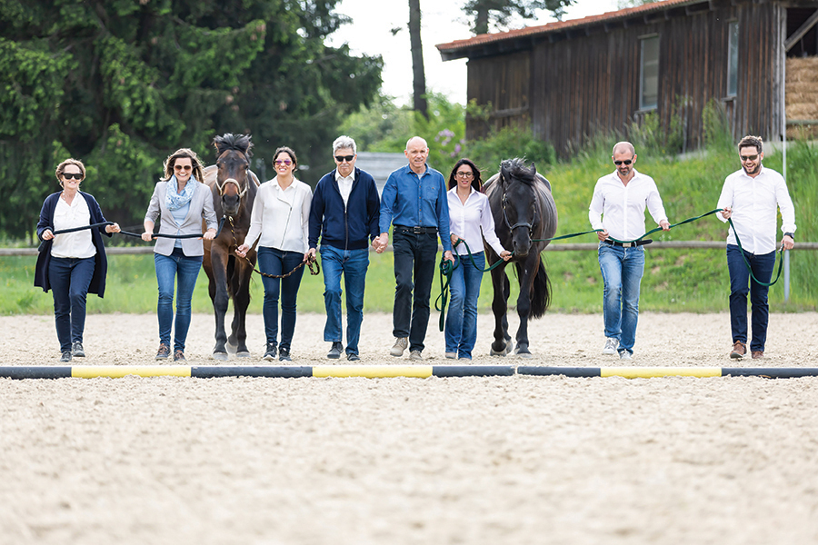 A Horse Might Be Your Best Leadership Coach