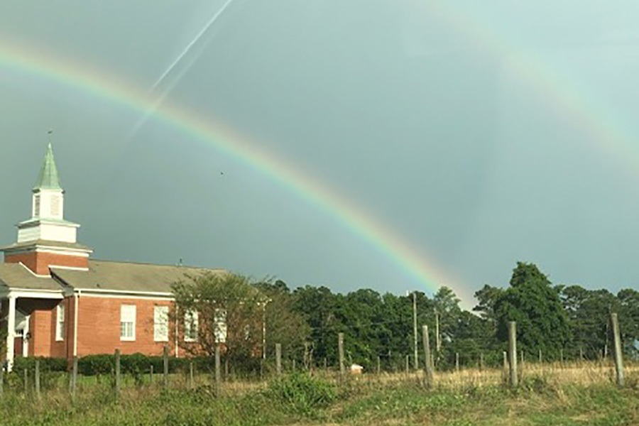 The Leader as a Rainbow