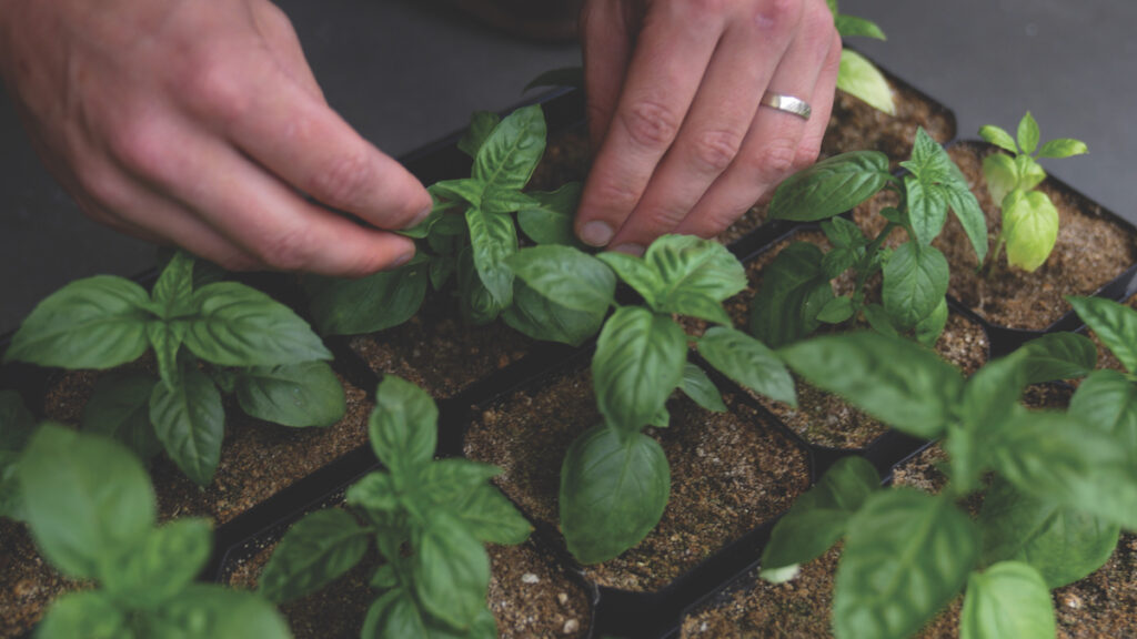 Disrupting the Ag Landscape: Nano-Yield