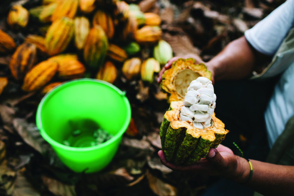 Defying Chocolate’s Dark Side: Alter Eco Foods