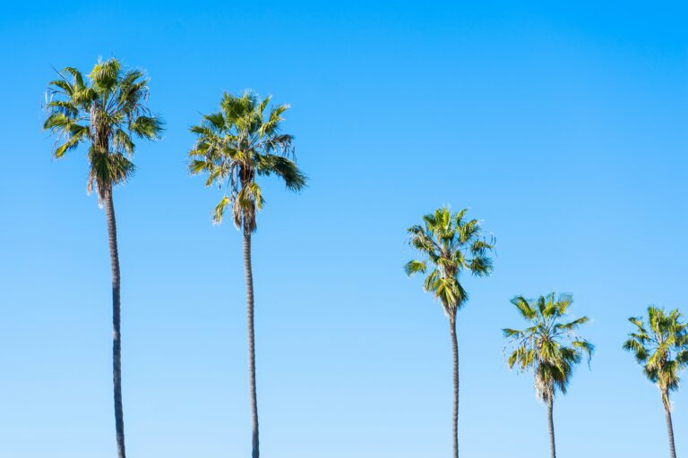 Oxford Terrace: Preserving 132 Affordable Homes in South County San Diego